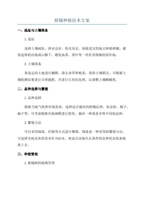 柑橘种植技术方案