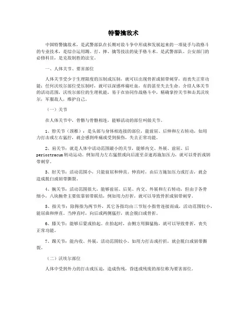 特警擒敌术