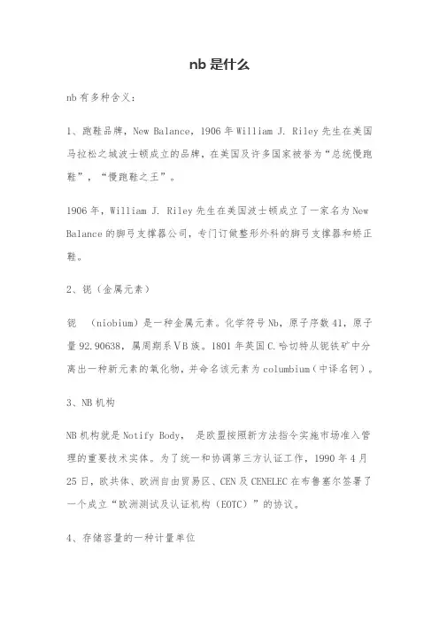 nb是什么