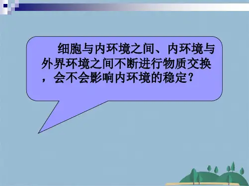 K生物：《内环境稳态的重要性》课件新人教版必修)(共29张PPT)