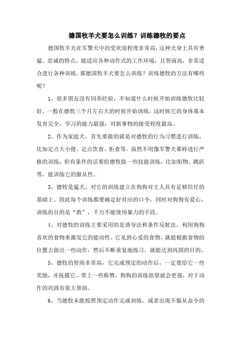 德国牧羊犬要怎么训练？训练德牧的要点