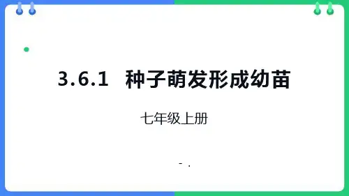 《种子萌发形成幼苗》PPT教学课件