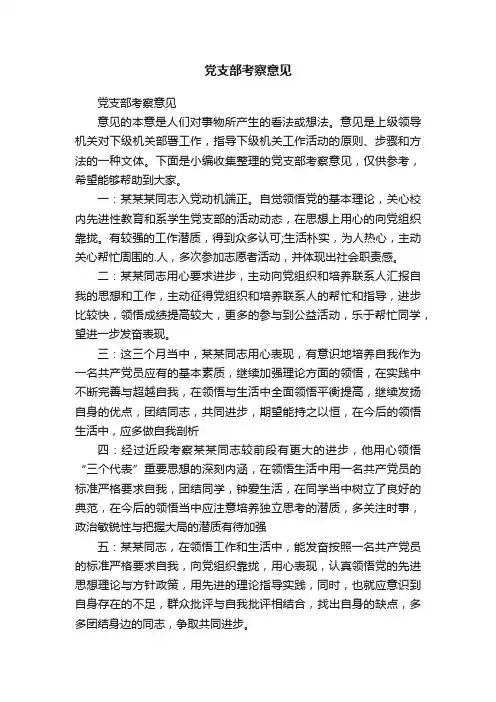 党支部考察意见