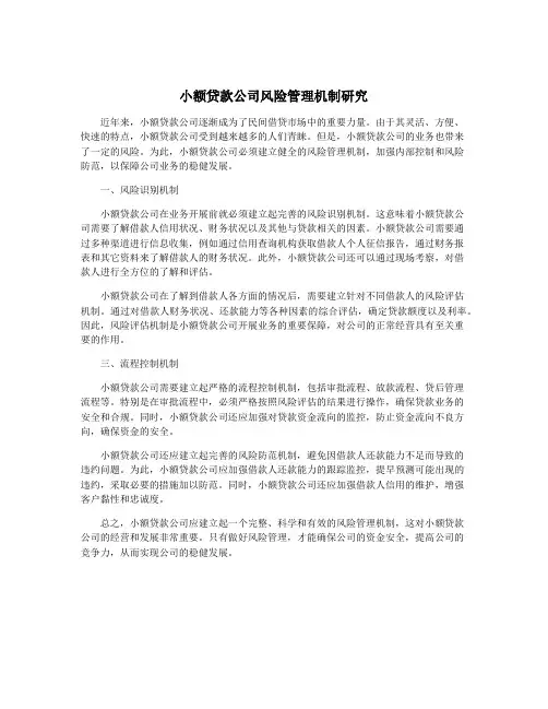 小额贷款公司风险管理机制研究