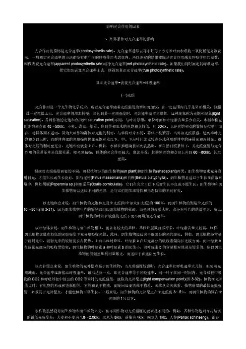 影响光合作用的因素
