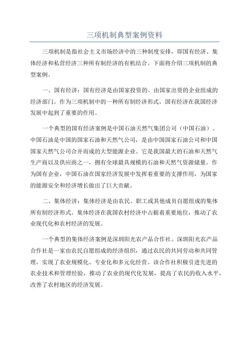 三项机制典型案例资料