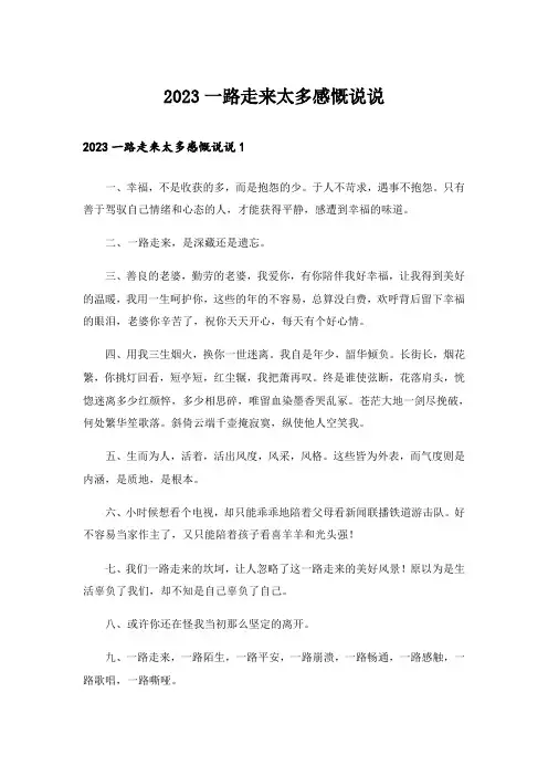 2023一路走来太多感慨说说_1
