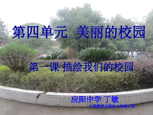 人教版七年级美术上册第四单元《美丽的校园》