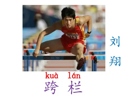 翻越远方的大山课件