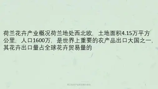 荷兰花卉产业的发展与变化课件