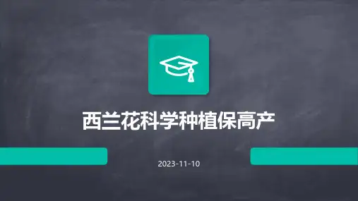 西兰花科学种植保高产