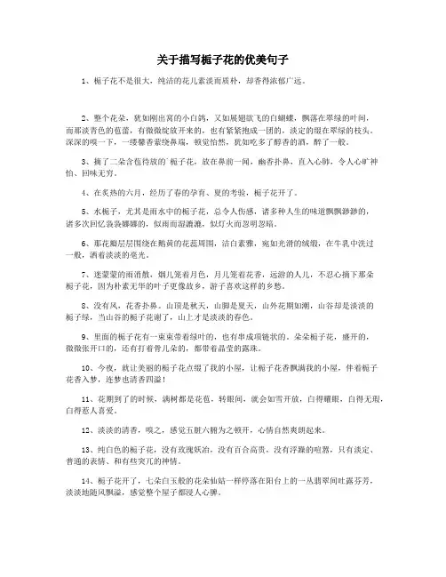 关于描写栀子花的优美句子