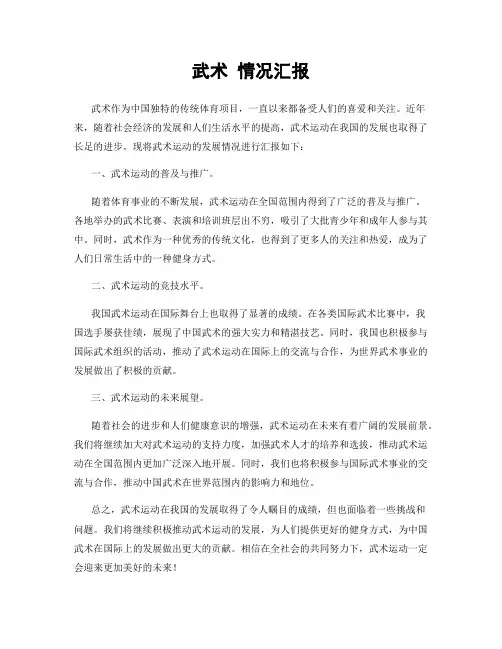 武术 情况汇报