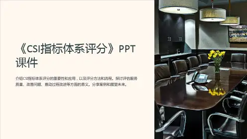 《CSI指标体系评分》课件
