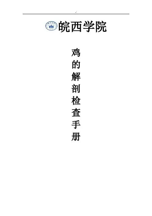 鸡的解剖检查介绍材料