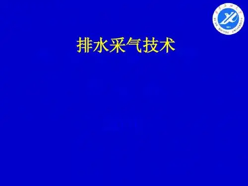 排水采气技术..