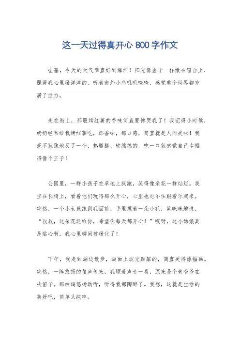 这一天过得真开心800字作文
