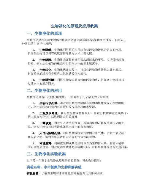 生物净化的原理及应用教案