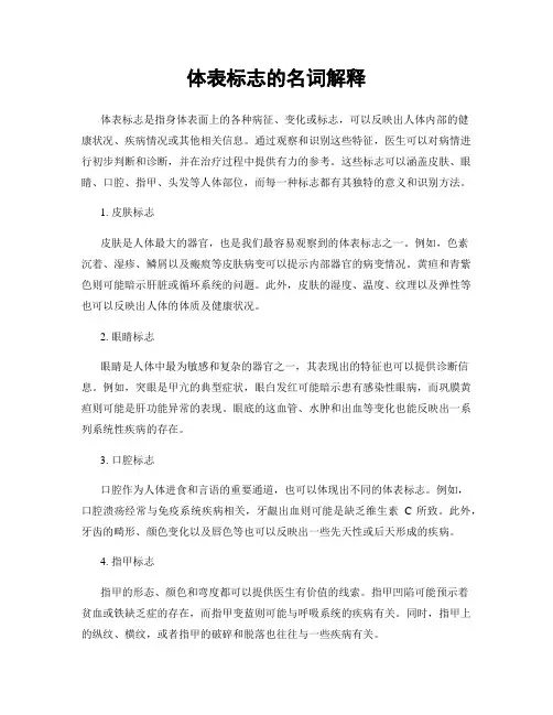 体表标志的名词解释