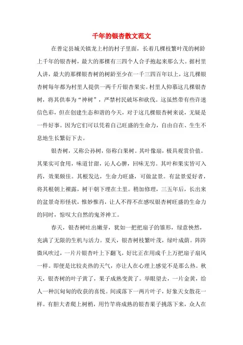 千年的银杏散文范文