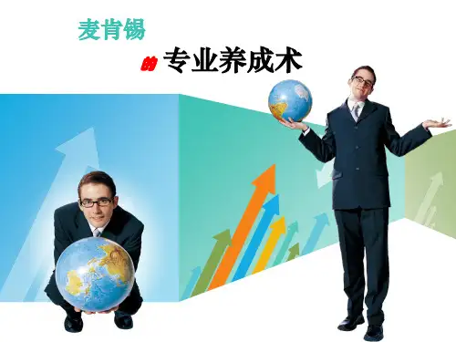 麦肯锡工作法(28P PPT)