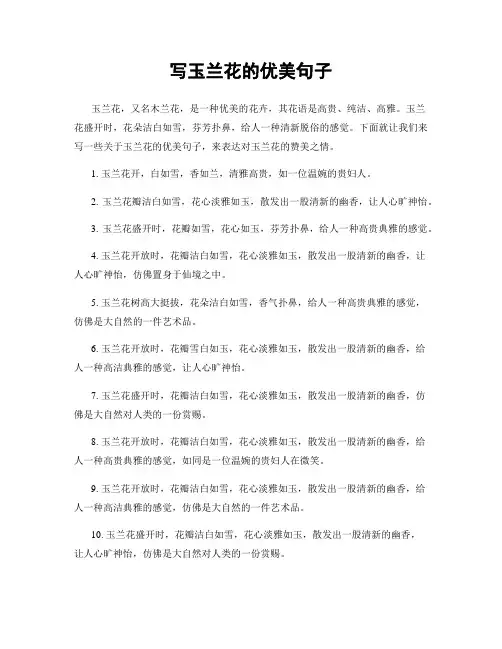 写玉兰花的优美句子