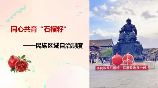 民族区域自治制度课件高中政治统编版必修三政治与法治