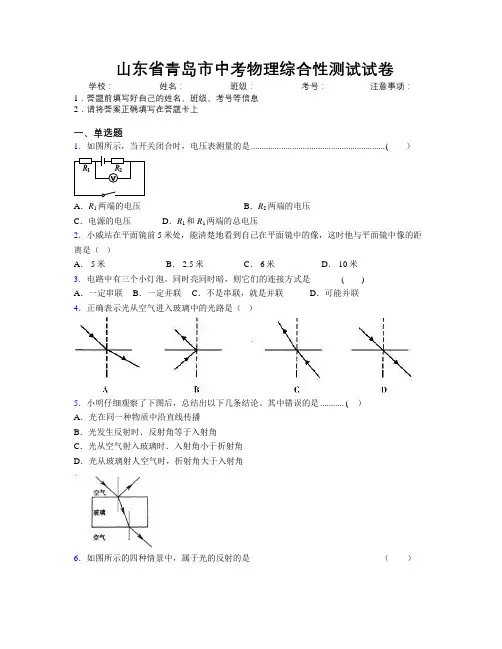 最新山东省青岛市中考物理综合性测试试卷及解析