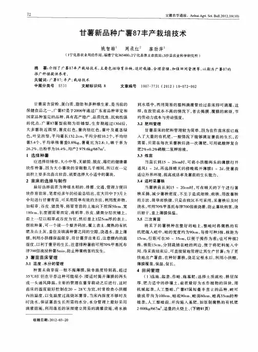 甘薯新品种广薯87丰产栽培技术