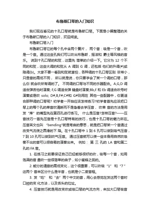 布鲁斯口琴的入门知识
