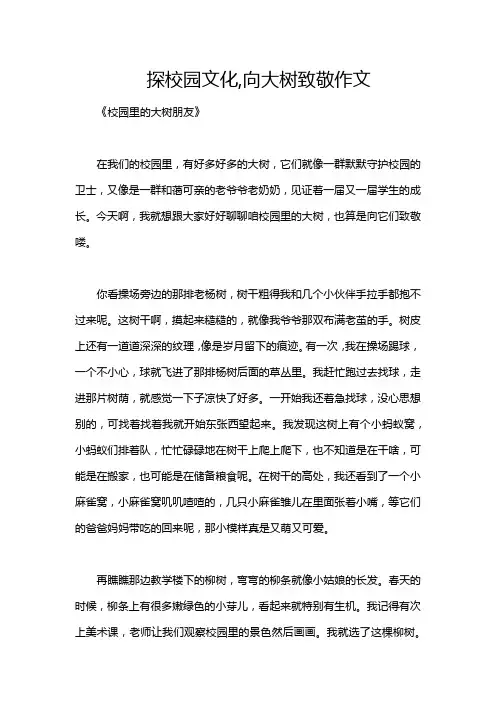 探校园文化,向大树致敬作文