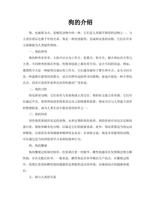 狗的介绍-专业文档