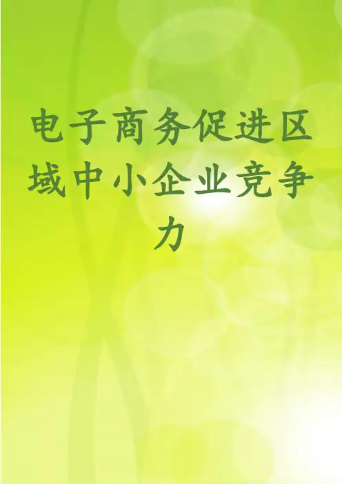 电子商务促进区域中小企业竞争力