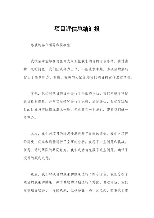 项目评估总结汇报