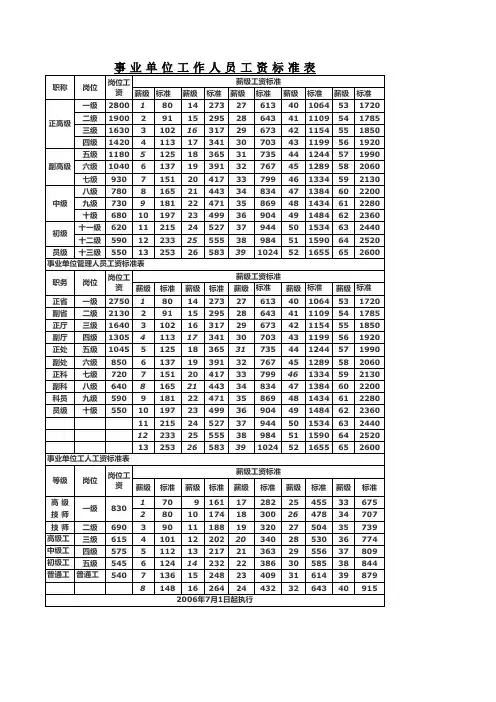 事 业 单 位 工 作 人 员 工 资 标 准 表