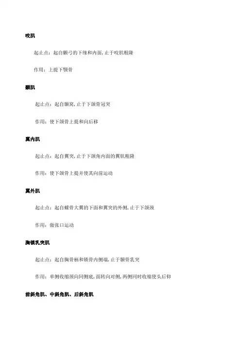 人体解剖学肌肉起止点及作用