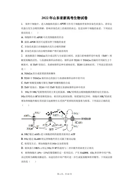 2022年山东省新高考生物试卷和答案解析