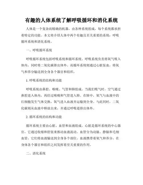 有趣的人体系统了解呼吸循环和消化系统