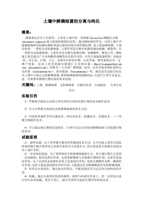 解磷细菌的筛选与分离