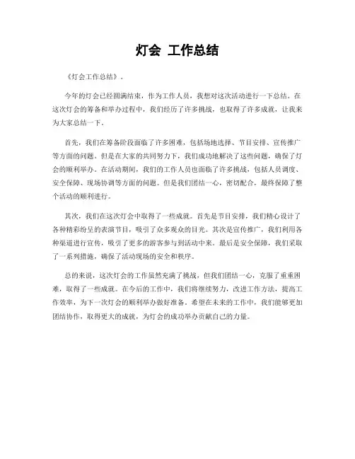 灯会 工作总结