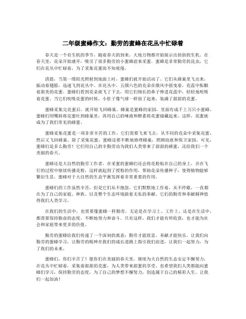 二年级蜜蜂作文：勤劳的蜜蜂在花丛中忙碌着