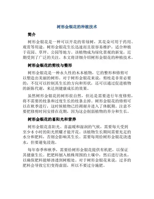树形金银花的种植技术