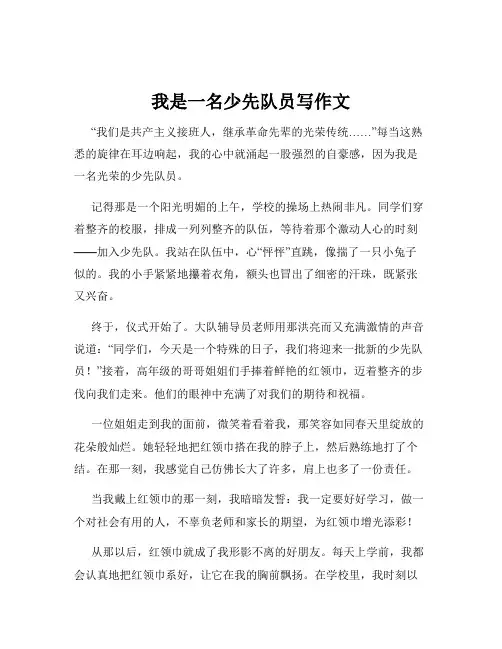 我是一名少先队员写作文