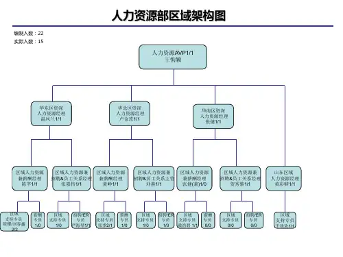 如家酒店-区域人力资源架构图和职责