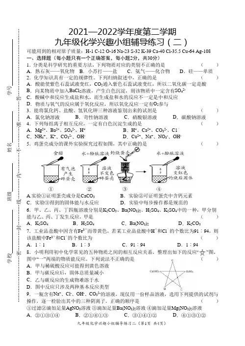 2021—2022 学年度第二学期九年级化学兴趣小组辅导练习(二)