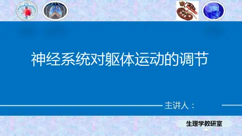 神经系统的功能—神经系统对躯体运动的调节(生理学课件)