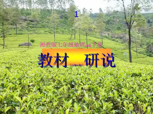 七年级地理下册《教材知识树》课件 