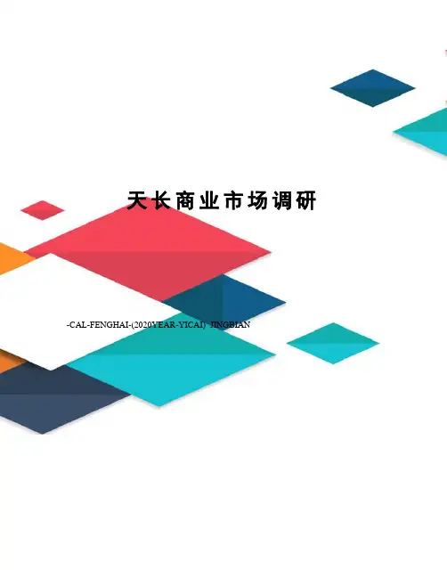 天长商业市场调研