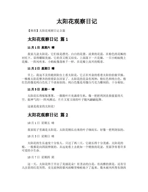 太阳花观察日记
