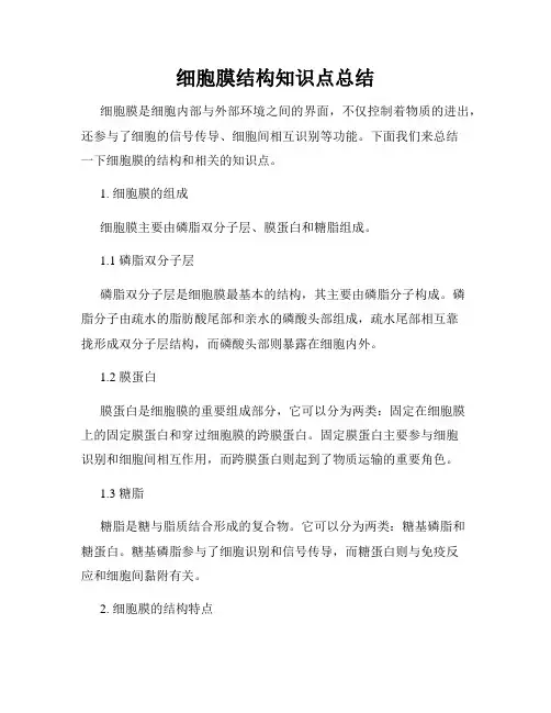 细胞膜结构知识点总结